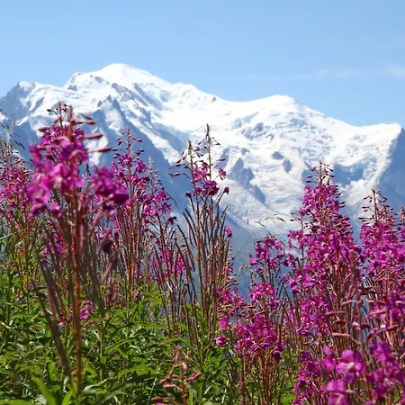Chalet Le Petitgy